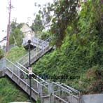 Downtown Portland Goose Hollow Stairs to Housing