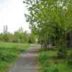 Brookside Pond Path