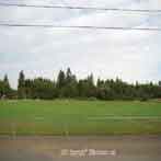 tigard oregon cook park soccer fields