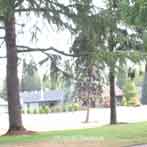 Tigard Oregon Summerfield Retirement Community Golfing